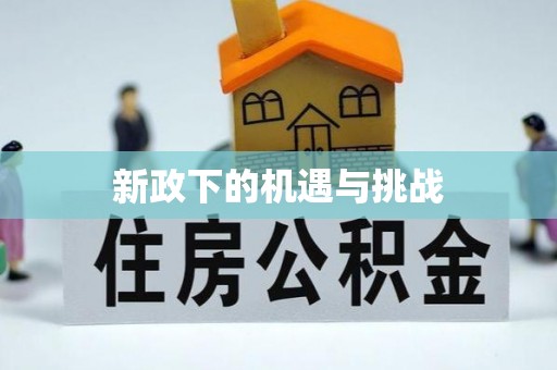 茄萣新政下的机遇与挑战