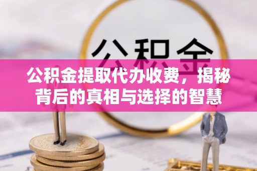 茄萣公积金提取代办收费，揭秘背后的真相与选择的智慧