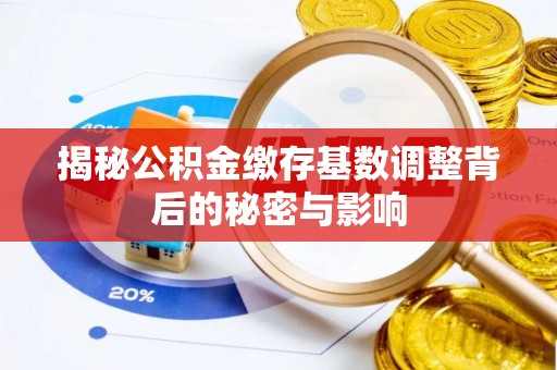 茄萣揭秘公积金缴存基数调整背后的秘密与影响