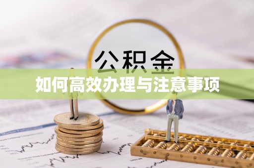 茄萣如何高效办理与注意事项