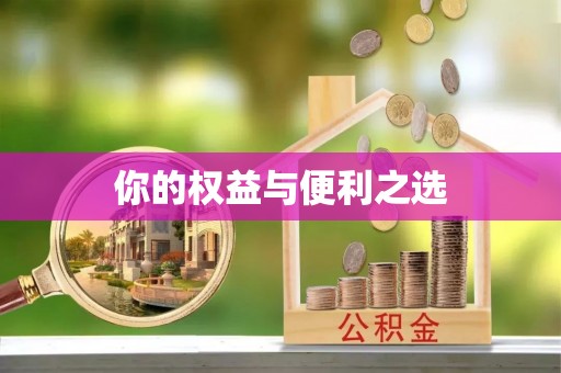 茄萣你的权益与便利之选