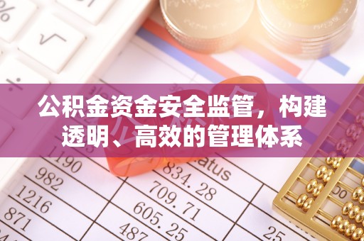 茄萣公积金资金安全监管，构建透明、高效的管理体系