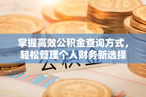 茄萣掌握高效公积金查询方式，轻松管理个人财务新选择