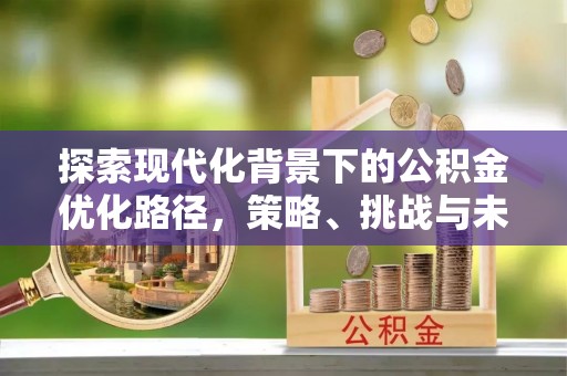 茄萣探索现代化背景下的公积金优化路径，策略、挑战与未来展望
