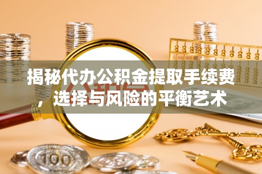 茄萣揭秘代办公积金提取手续费，选择与风险的平衡艺术