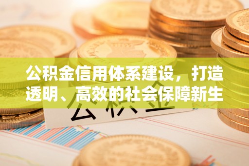 茄萣公积金信用体系建设，打造透明、高效的社会保障新生态