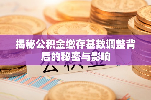 茄萣揭秘公积金缴存基数调整背后的秘密与影响