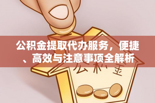 茄萣公积金提取代办服务，便捷、高效与注意事项全解析