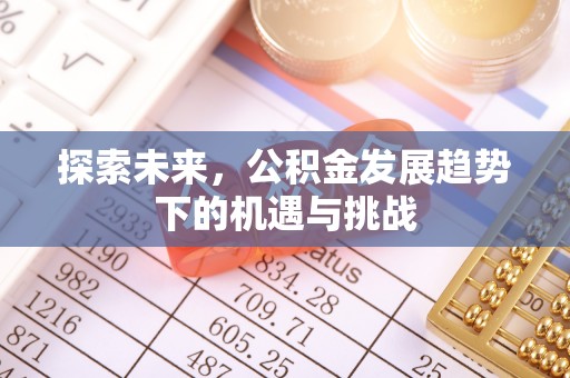 茄萣探索未来，公积金发展趋势下的机遇与挑战