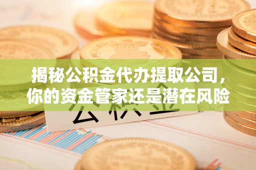 茄萣揭秘公积金代办提取公司，你的资金管家还是潜在风险？