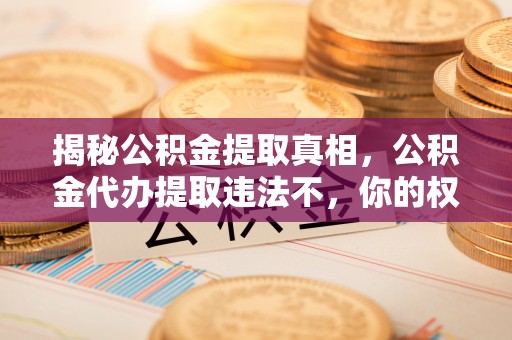 茄萣揭秘公积金提取真相，公积金代办提取违法不，你的权益如何保障？