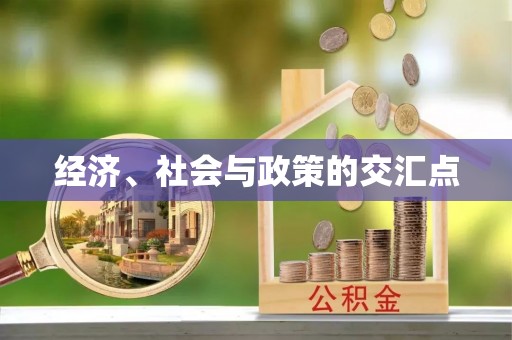 茄萣经济、社会与政策的交汇点