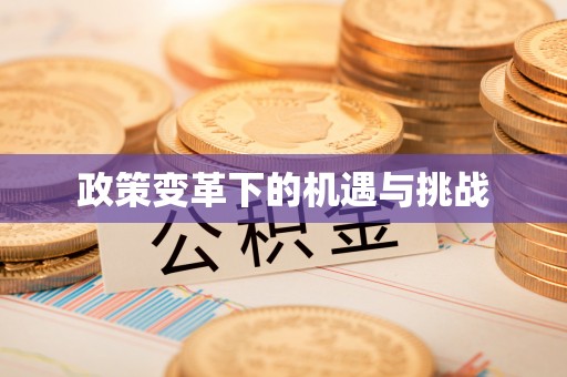 茄萣政策变革下的机遇与挑战