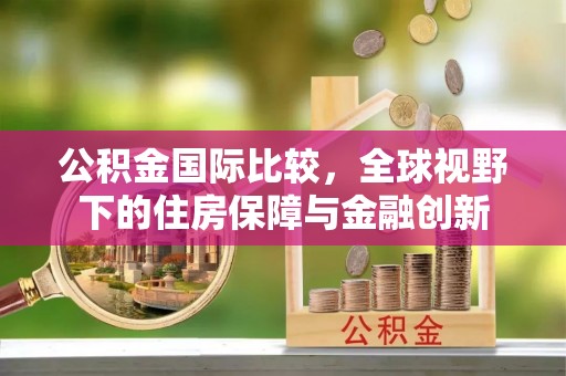 茄萣公积金国际比较，全球视野下的住房保障与金融创新