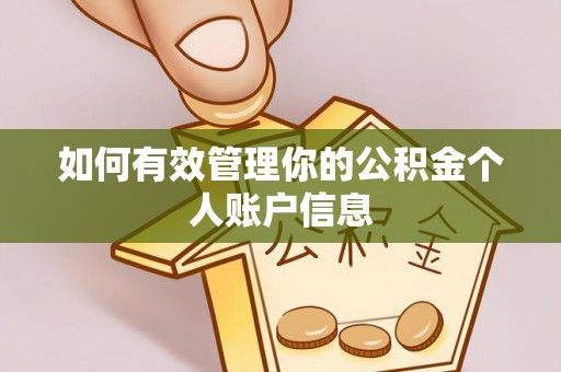 茄萣如何有效管理你的公积金个人账户信息