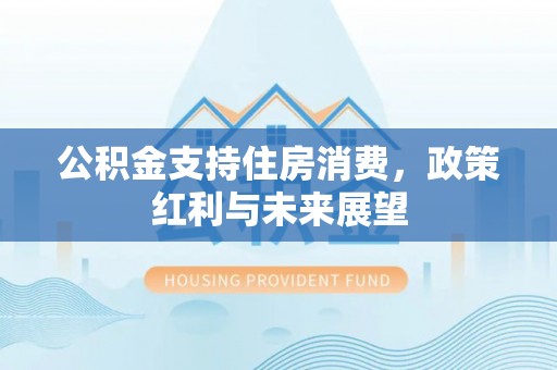 茄萣公积金支持住房消费，政策红利与未来展望