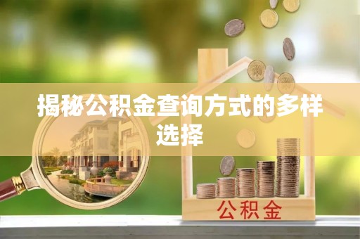茄萣揭秘公积金查询方式的多样选择