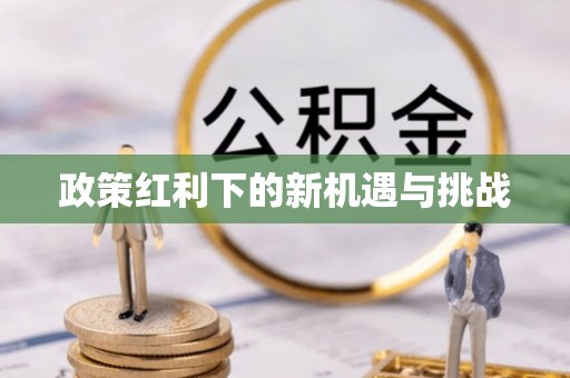 茄萣政策红利下的新机遇与挑战