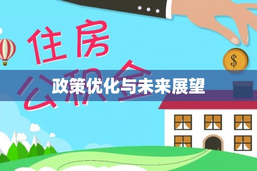 茄萣政策优化与未来展望
