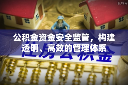 茄萣公积金资金安全监管，构建透明、高效的管理体系
