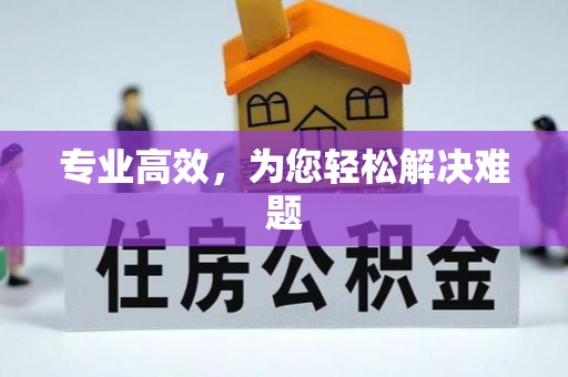茄萣专业高效，为您轻松解决难题