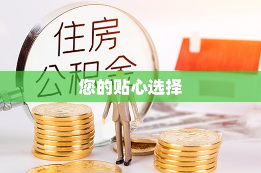 茄萣您的贴心选择