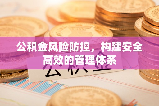 茄萣公积金风险防控，构建安全高效的管理体系
