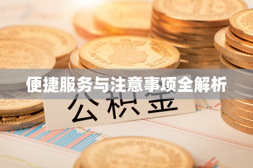 茄萣便捷服务与注意事项全解析