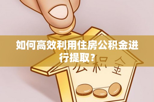 茄萣如何高效利用住房公积金进行提取？