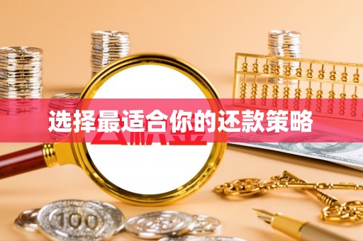 茄萣选择最适合你的还款策略