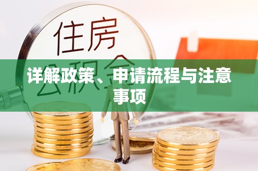 茄萣详解政策、申请流程与注意事项