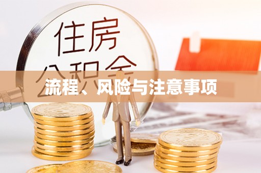 茄萣流程、风险与注意事项