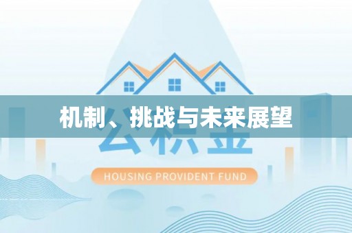 茄萣机制、挑战与未来展望